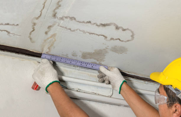 Reliable Water Damage contractor in Graham, WA by Water Damage Irwin